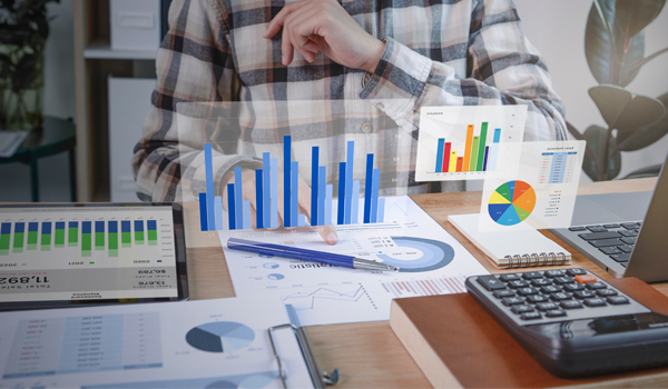 Supporto professionale